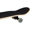 Skateboard Masquerade Brigade TBB Skateboard Masquerade Brigade TBB 52NT-TBB