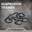Ιμάντες Ενδυνάμωσης Suspension Trainer Pegasus Β-0999