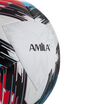 Μπάλα Ποδοσφαίρου AMILA SILK No. 5 41056