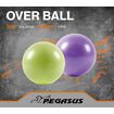 Pegasus® Μπάλα Γυμναστικής Pilates 25cm (Μωβ) Β-1510-PL
