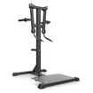 Standing Lateral Raise Impulse IFP1103
