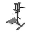 Standing Lateral Raise Impulse IFP1103