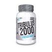 Tribulus 2000mg 60tabs True Nutrition