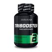 BioTech USA Tribooster 60tabs