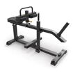 Seated Calf Raise IFP1623