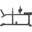 Seated Calf Raise IFP1623