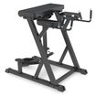 Reverse Hyperextension Impulse IFP1619