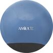 Μπάλα Γυμναστικής AMILA GYMBALL 65cm Μπλε με Βάρος στην Βάση 48445