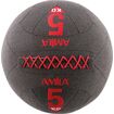 AMILA Wall Ball Kevlar Series 5Kg 94611