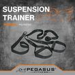 Pegasus® Ιμάντες Ενδυνάμωσης (Suspension Trainer) Pegasus® Ιμάντες Ενδυνάμωσης Β 0999