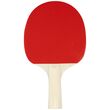 Avento Σετ 2 Ρακέτες Ping Pong & 2 Μπαλάκια "Team Up" 46TK Avento Σετ 2 Ρακέτες Ping Pong & 2 Μπαλάκια "Team Up" 46TK