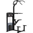 Weight Assisted Chin/Dip Combo IF9320 (χωρίς πλάκες βαρών) Weight Assisted Chin/Dip Combo IF9320 (χωρίς πλάκες βαρών)