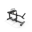 Seated Calf Raise IFP1623 Seated Calf Raise IFP1623