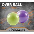 Pegasus® Μπάλα Γυμναστικής Pilates 25cm (Πράσινο) Β-1510-GN