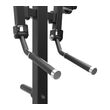 Standing Lateral Raise Impulse IFP1103