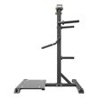 Standing Lateral Raise Impulse IFP1103