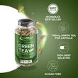 Πράσινο Τσάι IronMaxx Green Tea 300caps