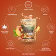 Πρωτεΐνη IronMaxx 100% Vegan Protein Zero 500gr Sweet Peach