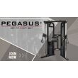 Πολυόργανο Γυμναστικής Επαγγελματικό Functional Trainer Pro PEGASUS Πολυόργανο Γυμναστικής Επαγγελματικό Functional Trainer Pro PEGASUS