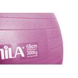 Μπάλα Γυμναστικής AMILA GYMBALL 65cm Ροζ Bulk 48439
