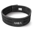 Ζώνη άρσης βαρών με Κλιπ AMILA Power Lifting L 94917