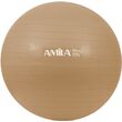 Μπάλα Γυμναστικής AMILA GYMBALL 55cm Χρυσή Bulk 48410