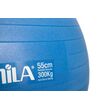 Μπάλα Γυμναστικής AMILA GYMBALL 55cm Μπλε Bulk 48437