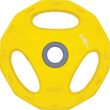 Δίσκος AMILA Pump Rubber Φ30 2,50Kg 84516