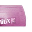 Μπάλα Γυμναστικής AMILA GYMBALL 55cm Ροζ 95827