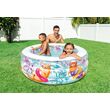 Little Otter Pool 58480