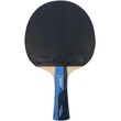 Ρακέτα Ping Pong Butterfly Timo Boll Sapphire 97164