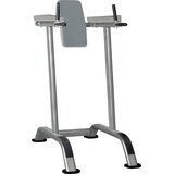 Vertical Knee Raise IT7010 IT7010 Vertical Knee Raise IT7010 IT7010