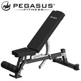 Pegasus® Ρυθμιζόμενος Πάγκος PG-10204 321100204 Pegasus® Ρυθμιζόμενος Πάγκος PG-10204 321100204