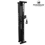 Functional Trainer Τοίχου Pegasus® T-SC01 327201931 Functional Trainer Τοίχου Pegasus® T-SC01 327201931