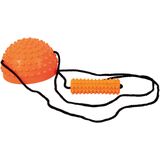 Ξυλοπόδαρα 99526 Ξυλοπόδαρα 99526