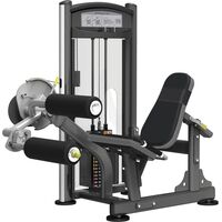 Seated leg curl IT9307 46167