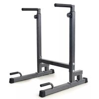 Δίζυγο Εδάφους Dip Station Viking DS-90