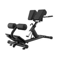 Πάγκος Ραχιαίων Επαγγελματικός Roman Chair - Hyperextension Bench Viking H-26A