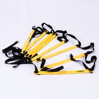 Σκάλα Γυμναστικής Επιτάχυνσης και Ρυθμού 8m LiveUp Β-3671-800