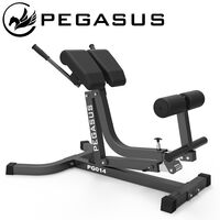 Pegasus® Πάγκος Ραχιαίων Ρυθμιζόμενος PG-014 390167014