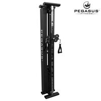 Functional Trainer Τοίχου Pegasus® T-SC01 327201931
