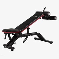 Πάγκος Γυμναστικής με Εξάρτημα Κοιλιακών VIKING ACB-1 ab Bench