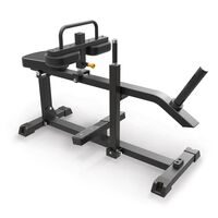 Seated Calf Raise IFP1623
