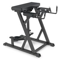 Reverse Hyperextension Impulse IFP1619