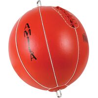 Boxball οροφής δαπέδου 43087