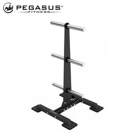 Pegasus® Βάση Ολυμπιακών Δίσκων 321106019