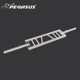 Pegasus® Ολυμπιακή Μπάρα Πολλαπλών Λαβών (Swiss Bar) Pegasus® Μπάρα Πολλαπλών Λαβών (Swiss Bar) Β-5025