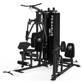 Pegasus® Pro Gym 3 Θέσεων MT-18504-ABC Λ-645