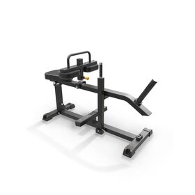Seated Calf Raise IFP1623