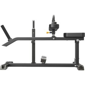Seated Calf Raise IFP1623